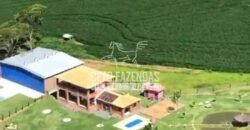 Fazenda à Venda 22 Alqueires de Café em Produção | São José da Barra/ MG!