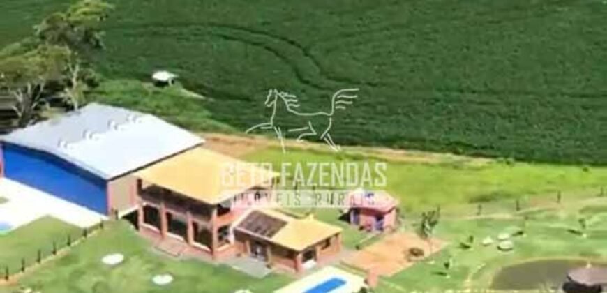 Fazenda à Venda 22 Alqueires de Café em Produção | São José da Barra/ MG!