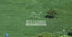 Fazenda à Venda 22 Alqueires de Café em Produção | São José da Barra/ MG!