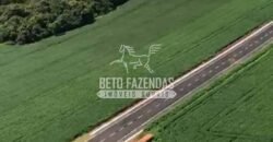 Fazenda à Venda 22 Alqueires de Café em Produção | São José da Barra/ MG!