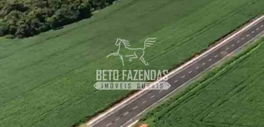 Fazenda à Venda 22 Alqueires de Café em Produção | São José da Barra/ MG!