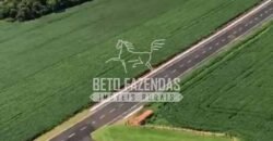 Fazenda à Venda 22 Alqueires de Café em Produção | São José da Barra/ MG!