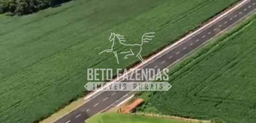 Fazenda à Venda 22 Alqueires de Café em Produção | São José da Barra/ MG!