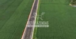 Fazenda à Venda 22 Alqueires de Café em Produção | São José da Barra/ MG!