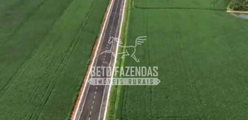 Fazenda à Venda 22 Alqueires de Café em Produção | São José da Barra/ MG!