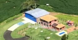 Fazenda à Venda 22 Alqueires de Café em Produção | São José da Barra/ MG!