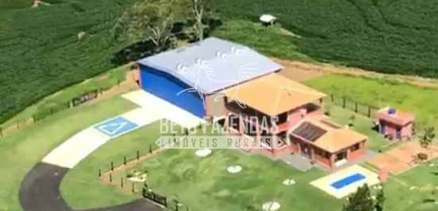 Fazenda à Venda 22 Alqueires de Café em Produção | São José da Barra/ MG!