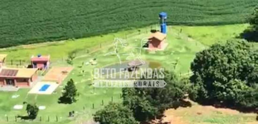 Fazenda à Venda 22 Alqueires de Café em Produção | São José da Barra/ MG!