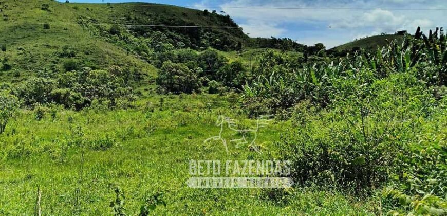 Excelente Fazenda para Gado à Venda 51 alqueires | Valença/ RJ!