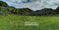 Excelente Fazenda para Gado à Venda 51 alqueires | Valença/ RJ!