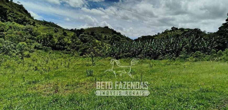 Excelente Fazenda para Gado à Venda 51 alqueires | Valença/ RJ!