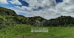 Excelente Fazenda para Gado à Venda 51 alqueires | Valença/ RJ!