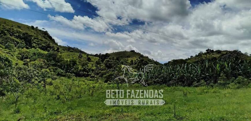 Excelente Fazenda para Gado à Venda 51 alqueires | Valença/ RJ!