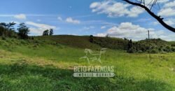 Excelente Fazenda para Gado à Venda 51 alqueires | Valença/ RJ!