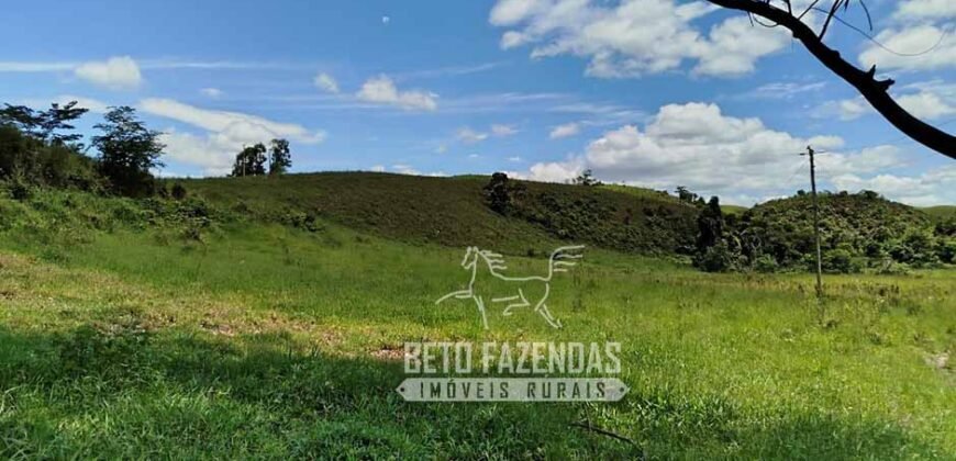 Excelente Fazenda para Gado à Venda 51 alqueires | Valença/ RJ!