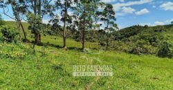 Excelente Fazenda para Gado à Venda 51 alqueires | Valença/ RJ!