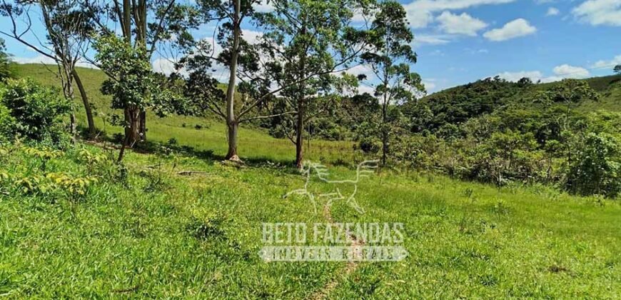 Excelente Fazenda para Gado à Venda 51 alqueires | Valença/ RJ!