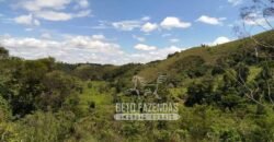 Excelente Fazenda para Gado à Venda 51 alqueires | Valença/ RJ!