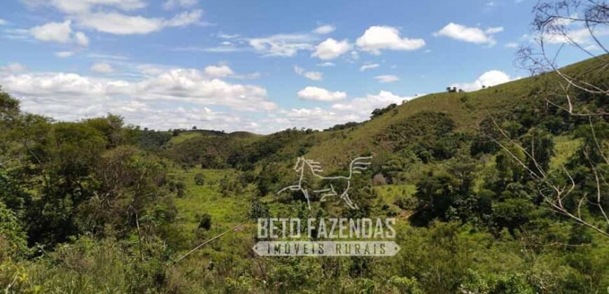 Excelente Fazenda para Gado à Venda 51 alqueires | Valença/ RJ!