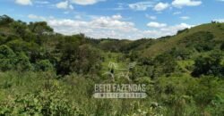 Excelente Fazenda para Gado à Venda 51 alqueires | Valença/ RJ!