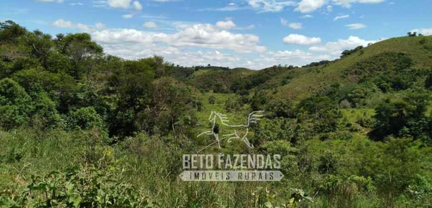 Excelente Fazenda para Gado à Venda 51 alqueires | Valença/ RJ!
