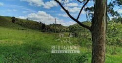 Excelente Fazenda para Gado à Venda 51 alqueires | Valença/ RJ!