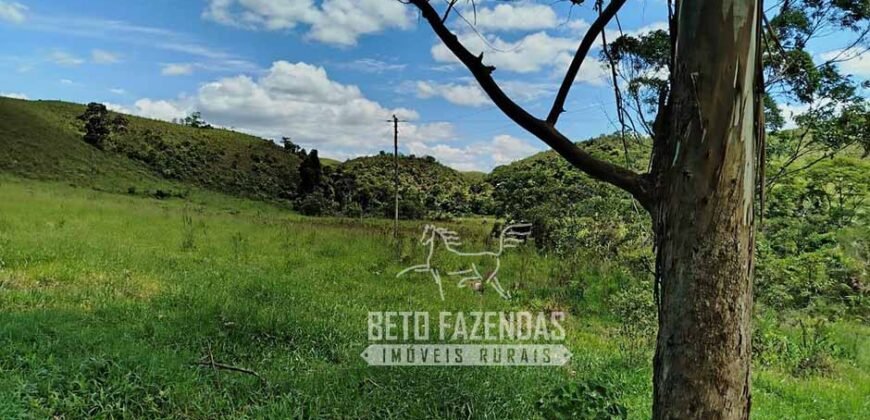 Excelente Fazenda para Gado à Venda 51 alqueires | Valença/ RJ!