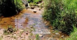 Excelente Fazenda para Gado à Venda 51 alqueires | Valença/ RJ!