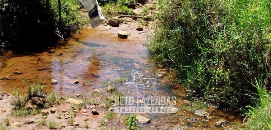 Excelente Fazenda para Gado à Venda 51 alqueires | Valença/ RJ!