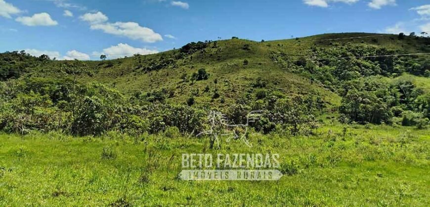 Excelente Fazenda para Gado à Venda 51 alqueires | Valença/ RJ!