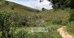 Excelente Fazenda para Gado à Venda 51 alqueires | Valença/ RJ!