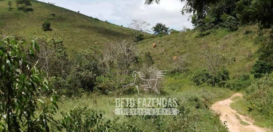 Excelente Fazenda para Gado à Venda 51 alqueires | Valença/ RJ!