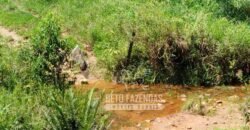 Excelente Fazenda para Gado à Venda 51 alqueires | Valença/ RJ!