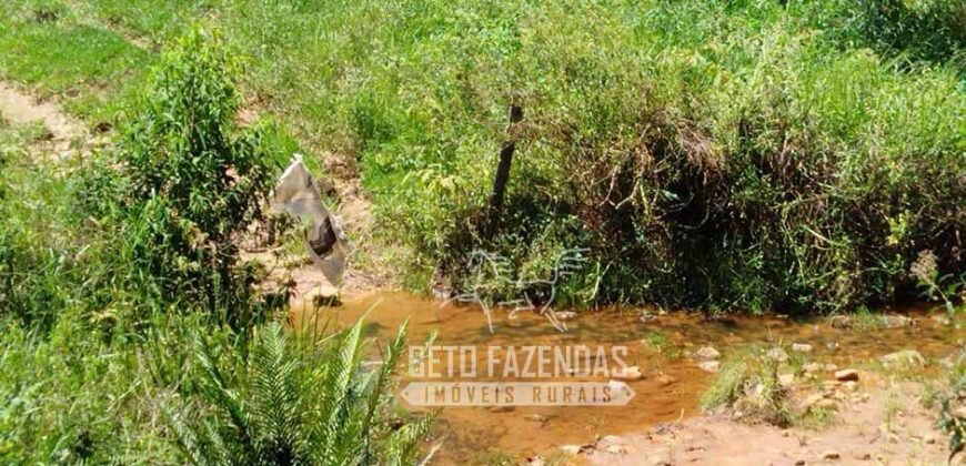 Excelente Fazenda para Gado à Venda 51 alqueires | Valença/ RJ!