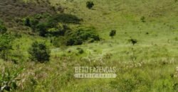 Excelente Fazenda para Gado à Venda 51 alqueires | Valença/ RJ!