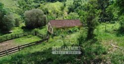 Excelente Fazenda para Gado à Venda 51 alqueires | Valença/ RJ!