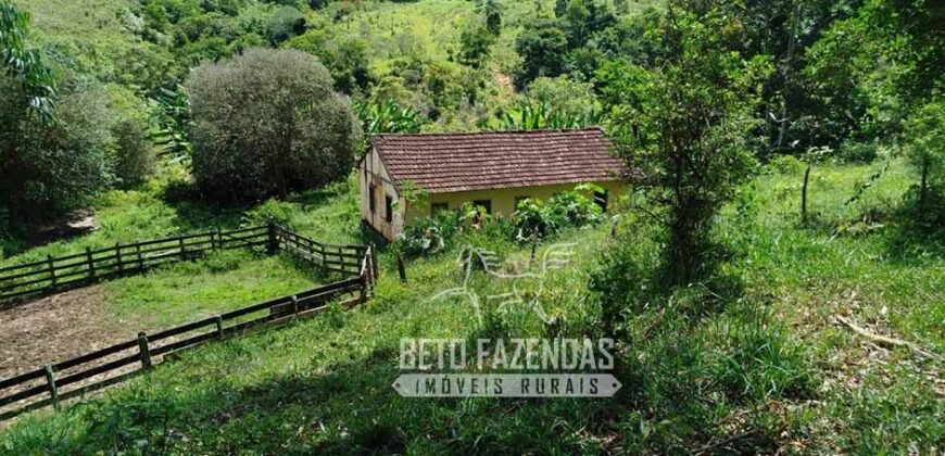 Excelente Fazenda para Gado à Venda 51 alqueires | Valença/ RJ!