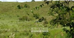 Excelente Fazenda para Gado à Venda 51 alqueires | Valença/ RJ!