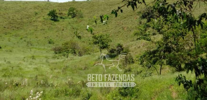 Excelente Fazenda para Gado à Venda 51 alqueires | Valença/ RJ!