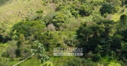 Excelente Fazenda para Gado à Venda 51 alqueires | Valença/ RJ!