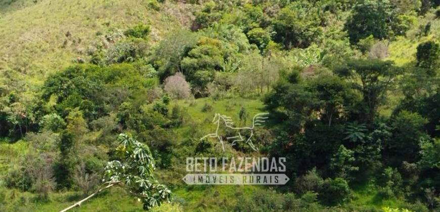 Excelente Fazenda para Gado à Venda 51 alqueires | Valença/ RJ!