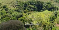 Excelente Fazenda para Gado à Venda 51 alqueires | Valença/ RJ!