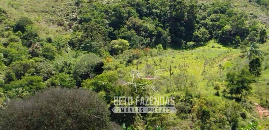 Excelente Fazenda para Gado à Venda 51 alqueires | Valença/ RJ!