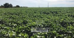 Fazenda Extraordinária Porteira Fechada 17.530 hectares no Sudoeste do Tocantins – Dupla Aptidão!