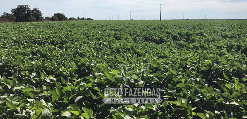 Fazenda Extraordinária Porteira Fechada 17.530 hectares no Sudoeste do Tocantins – Dupla Aptidão!