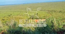 Fazenda Extraordinária Porteira Fechada 17.530 hectares no Sudoeste do Tocantins – Dupla Aptidão!