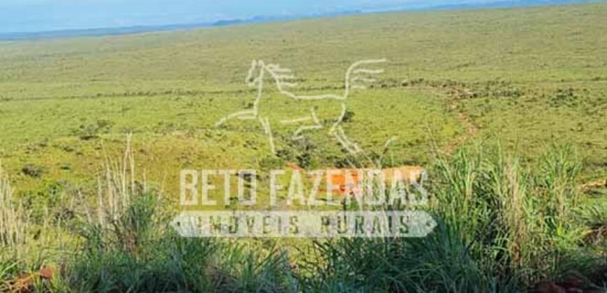 Fazenda Extraordinária Porteira Fechada 17.530 hectares no Sudoeste do Tocantins – Dupla Aptidão!