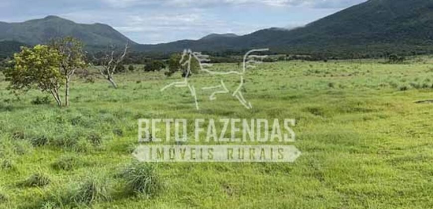 Extraordinária Fazenda para Pecuária à Venda 2.725 hectares  | Monte Alegre de Goiás/ GO