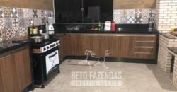 Extraordinária Fazenda para Pecuária à Venda 2.725 hectares  | Monte Alegre de Goiás/ GO