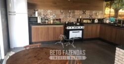 Extraordinária Fazenda para Pecuária à Venda 2.725 hectares  | Monte Alegre de Goiás/ GO